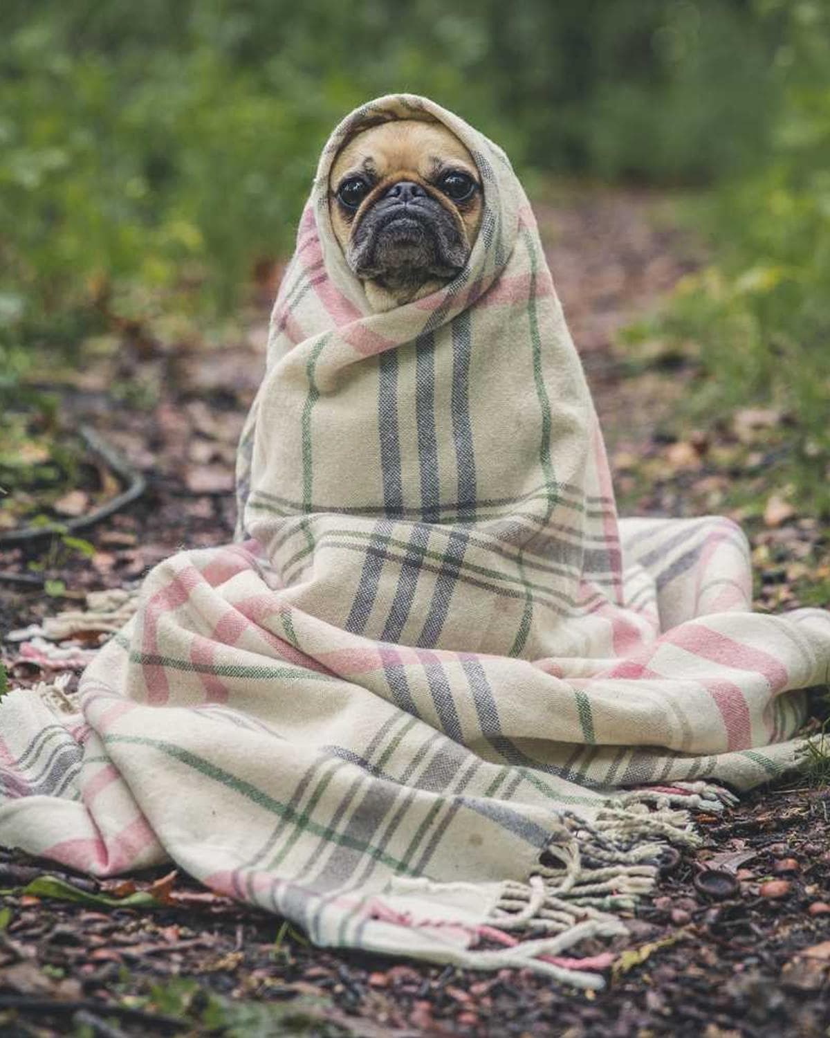 Seaside horizon and waves